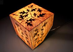 Illuminating Wood