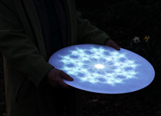 A Bowl Of Lumen Flowers
