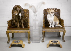Cute Puppy Bowl Holders on the Bend