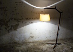 What An Adorable Lamp