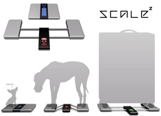 Dog, Luggage And You On The Same Scale