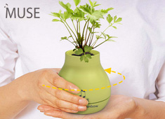 Musical Plants