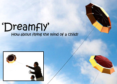 Flying The Umbrella Kite!