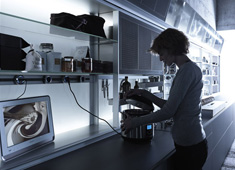 The New Logica Shift In Kitchen