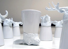 Prized Animal Heads!
