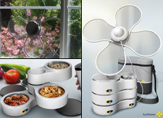 Sun + Flower = Lunchbox!