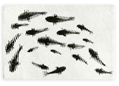 Magic Carp-pet