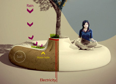 New Age Bodhi Tree