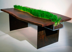 Walnut and Grass