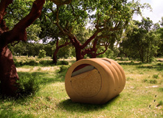 Tree House Camping
