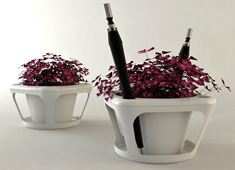 Every Drop Goes Into the Flowerpot
