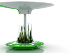 Refreshing Bench at Your Service