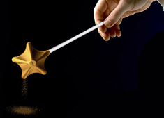 Magical Seasoning