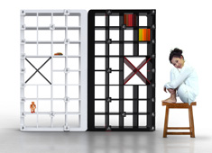 Bookshelf Chess