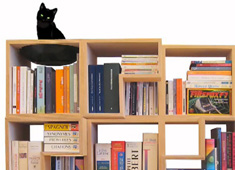 100% Cat Friendly Modular Bookshelf