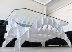 Organic Form, Architectural Structure
