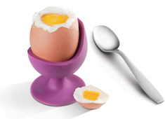 Get Eggcited!