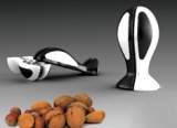 Nut Cracking Orca