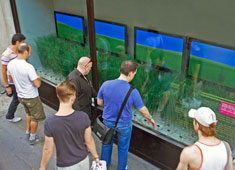 Interactive Urban Prairie