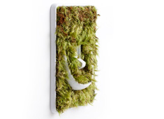 Subtle Reminders for Eco-Awareness