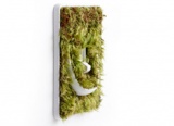 Subtle Reminders for Eco-Awareness