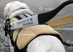 Breaking Boundaries for the Blind