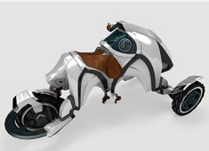 Equestrian Inspired Trike