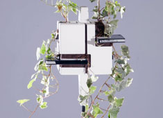Plant/Computer Hybrid?