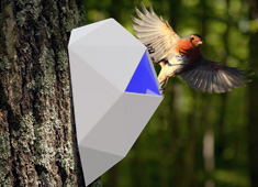 Home for the Modern Bird