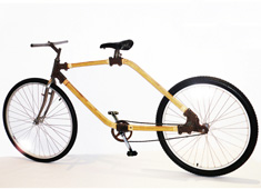Bamboo Bike