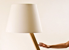Equilibrium in a Light