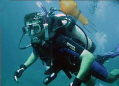 Marine Life Monitor
