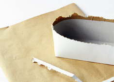 Not Just a Paper Bag