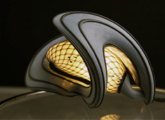 Light Metamorphosis