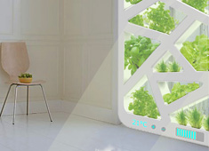 Window Gardens
