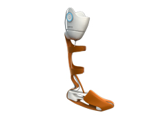 Prosthesis of the Future