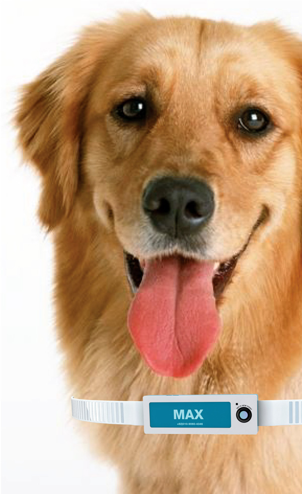 22) Pet’s View – Camera for Pets by Jaehwa Lee