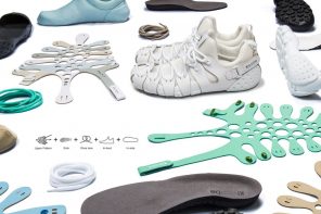 The Chameleon Shoe with 10,000 Variations