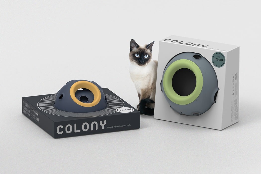 colony_cat_home_08
