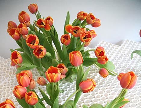 Five by Seven Miniature Flower Field Vase by Studio Laurens Van Wieringen 01