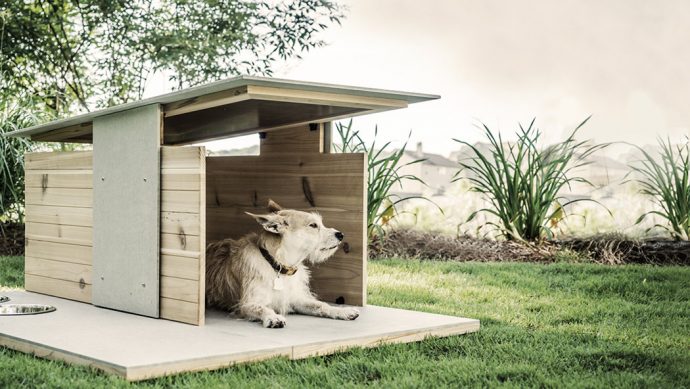 Cool Digs for the Modern Dog