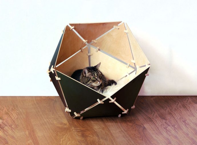 ‘Cat’hedral