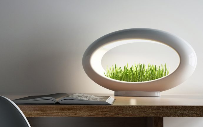 The Modern Desktop Garden
