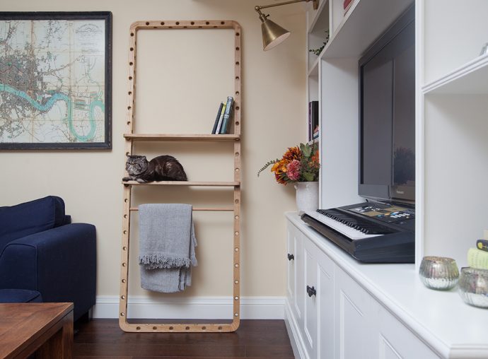 Evolving Furniture