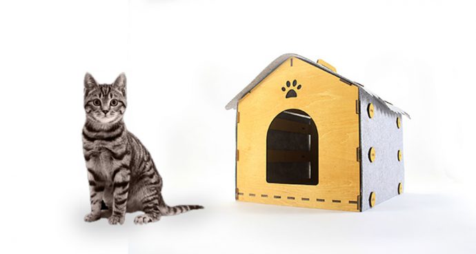 DIY Feline Digs!