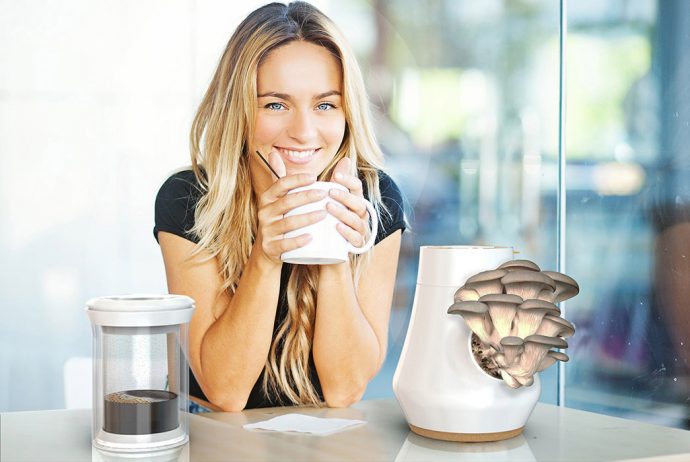 A New Coffee Ecosystem