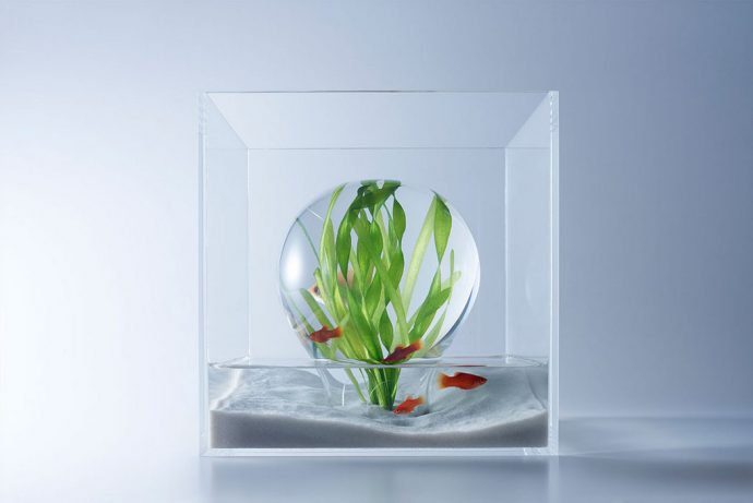 Aqua Architecture!