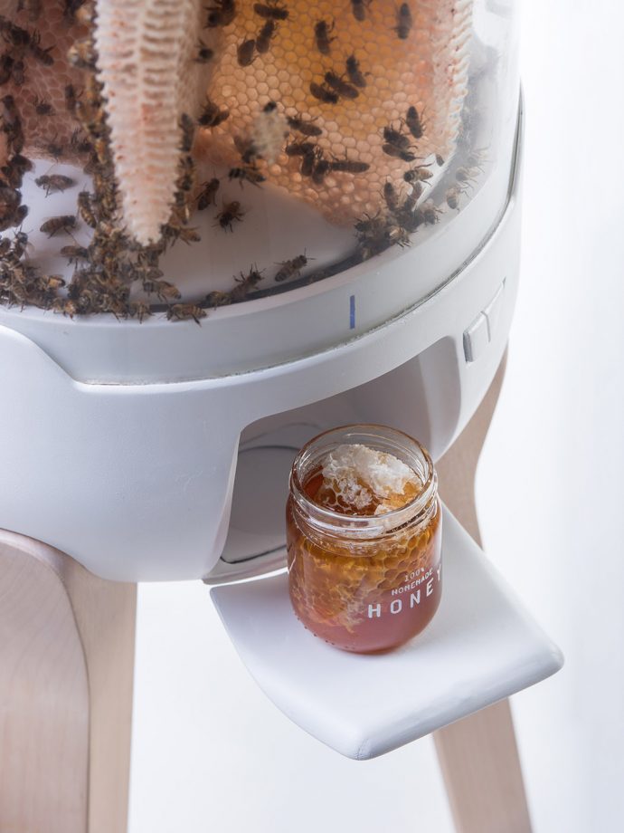 Honey I shrunk the beehive!
