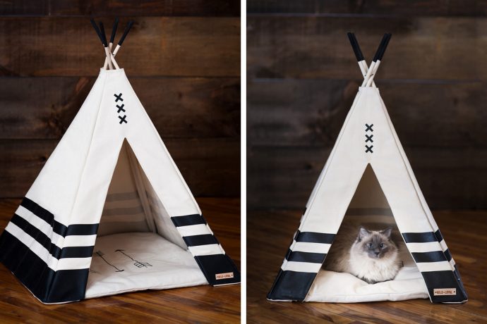 A Tent for Chief Sitting-Cat