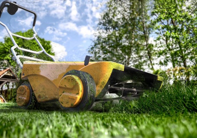 Let the sun mow your lawn!